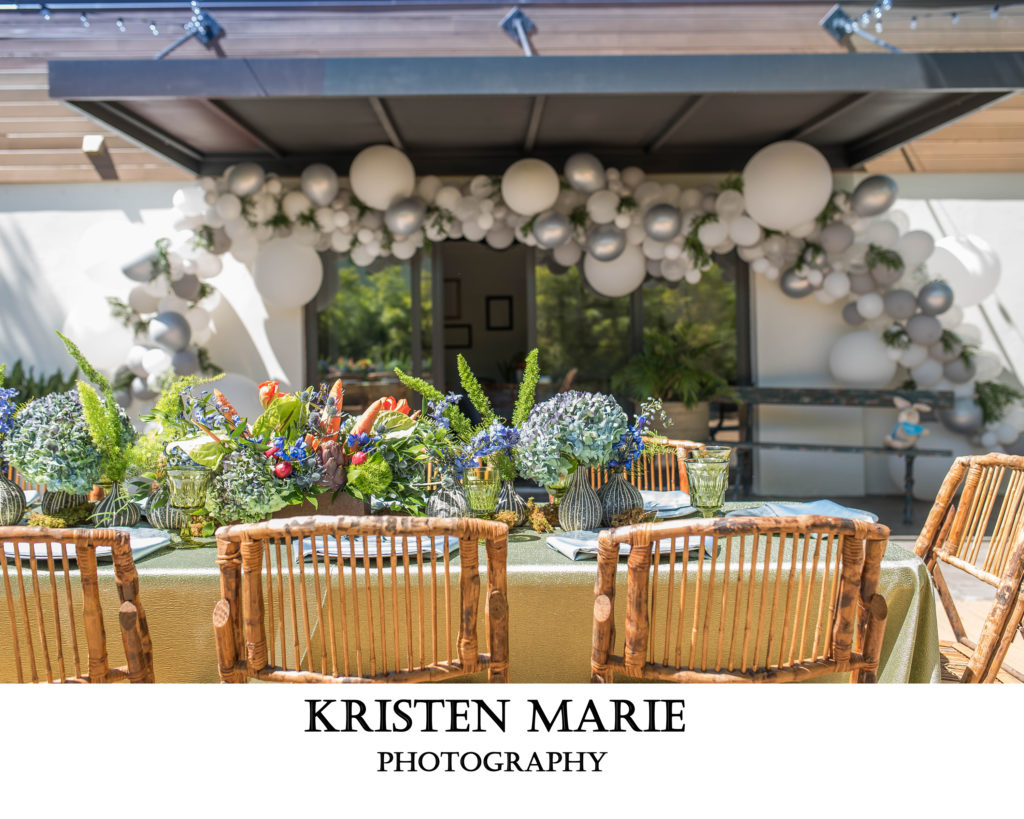 Tampa Baby Shower Peter Rabbit Themed